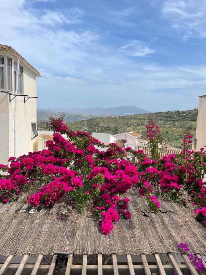 Casa La Vista Διαμέρισμα Casarabonela Εξωτερικό φωτογραφία