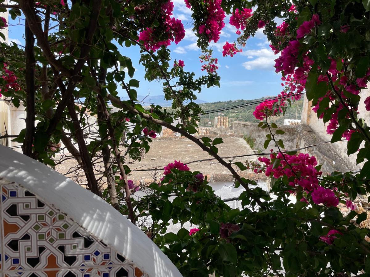 Casa La Vista Διαμέρισμα Casarabonela Εξωτερικό φωτογραφία