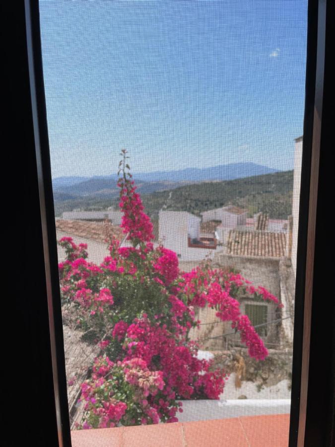 Casa La Vista Διαμέρισμα Casarabonela Εξωτερικό φωτογραφία